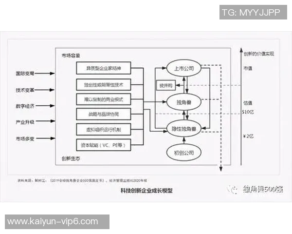 足球跳水球星背后的选拔机制与成长轨迹揭秘